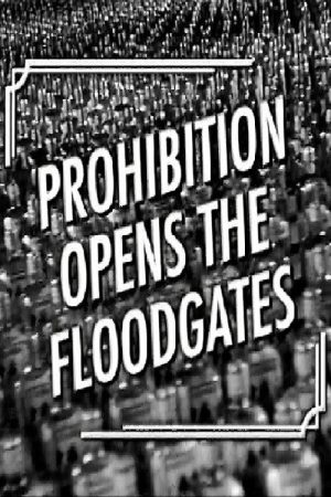 Prohibition Opens the Floodgates (2006) poster