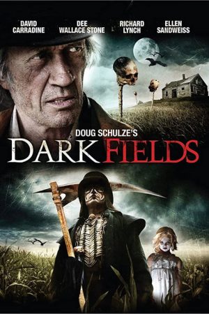 Dark Fields (2009) poster