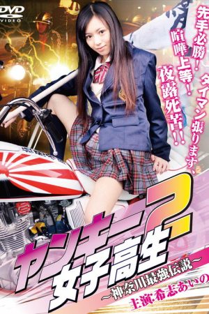 Yankee High School Girl 2 ~Kanagawa Legend~ (2009) poster