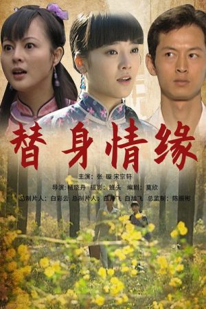 替身情缘 (2009) poster