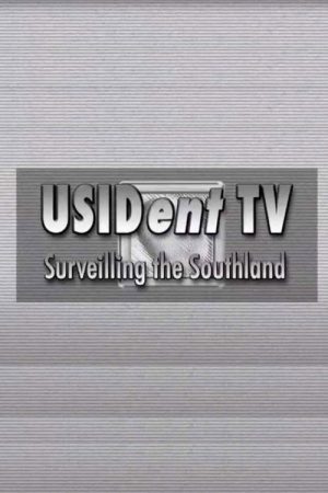 USIDent TV: Surveilling the Southland (2008) poster