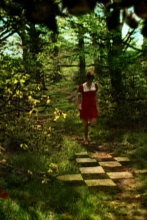 Sweet Salt (2005) poster