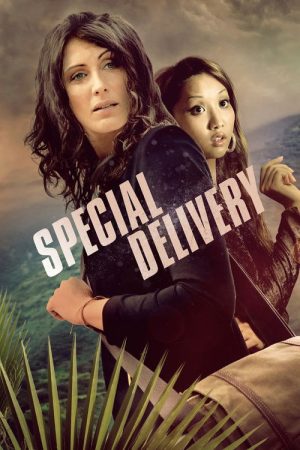 Special Delivery (2008) poster