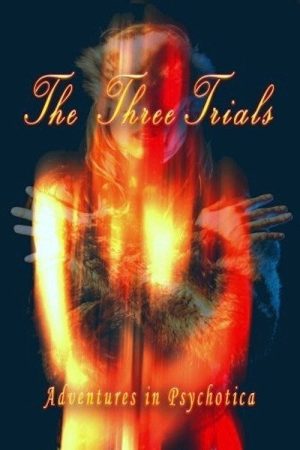 The Three Trials (2006) poster