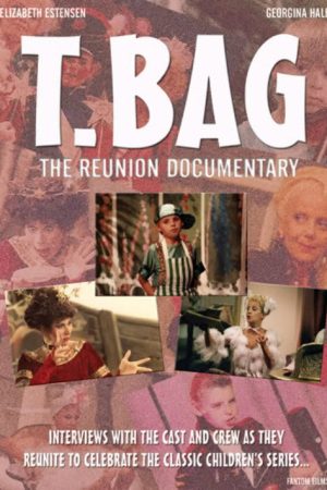 T-Bag: The Reunion Documentary (2007) poster