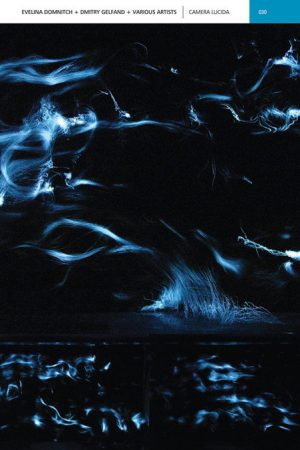 CAMERA LUCIDA (2007) poster