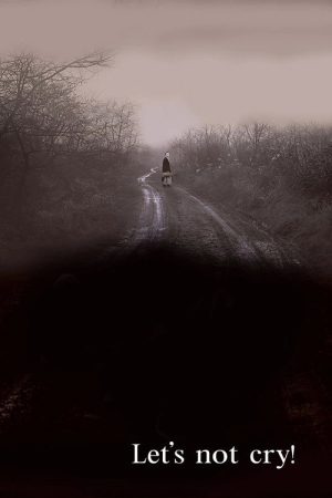 Let’s Not Cry! (2007) poster