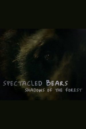 Spectacled Bears: Shadows of the Forest (2008) poster