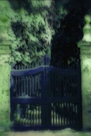 Villa fidelia (2007) poster