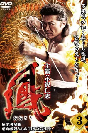 Ootori 3 (2009) poster