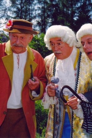 O ševci Ondrovi a komtesce Julince (2005) poster