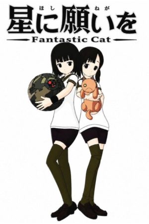 Wish Upon a Star: Fantastic Cat (2009) poster
