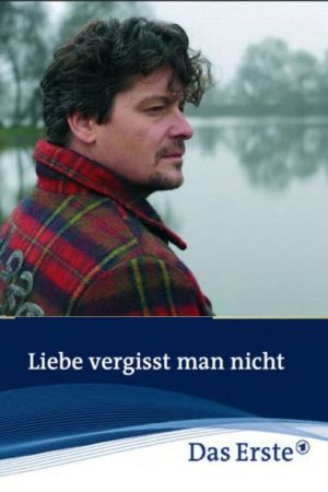 Liebe vergisst man nicht (2010) poster