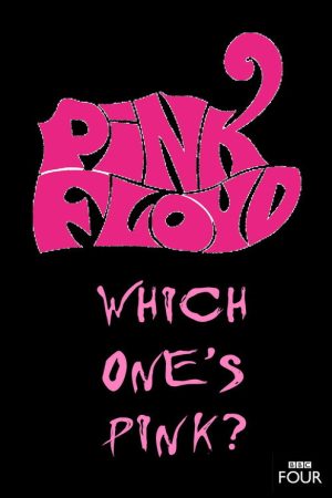 The Pink Floyd Story: Which One’s Pink? (2007) poster