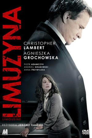 Limousine (2008) poster