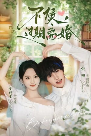 不候，过期离婚 (2026) poster