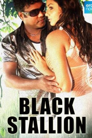 Black Stallion (2010) poster