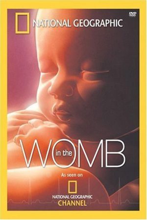 Life Before Birth (2005) poster