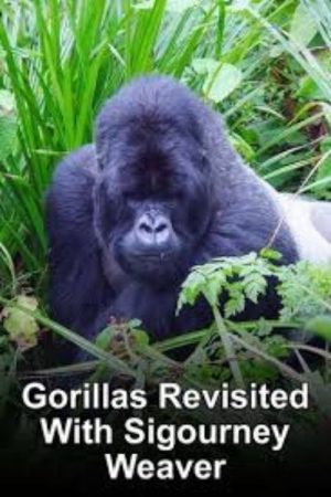 Gorillas Revisited with Sigourney Weaver (2006) poster