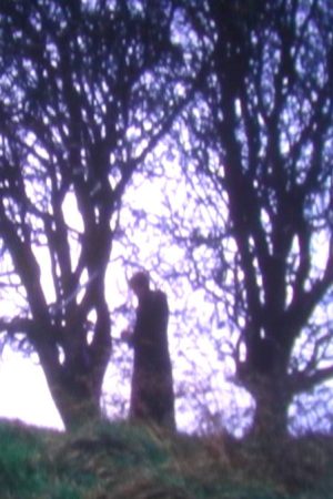 Tír na nÓg (2008) poster