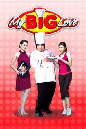 My Big Love (2008) poster