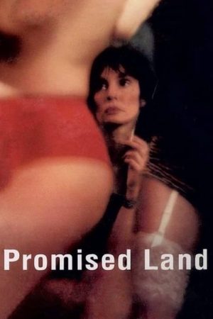 Promised Land (2004) poster
