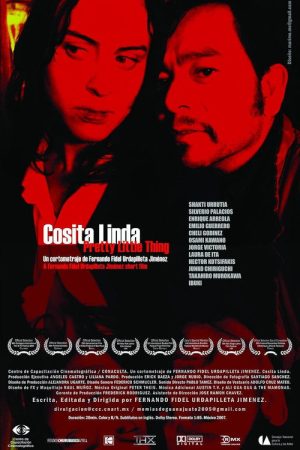 Cosita linda (2008) poster