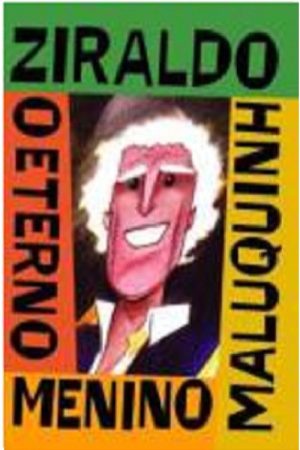 Ziraldo – O Eterno Menino Maluquinho (2007) poster