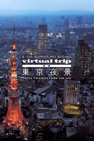 Virtual Trip: Tokyo Twilight from the Air (2008) poster
