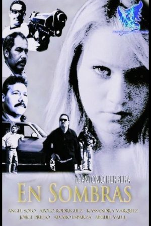 En sombras (2008) poster