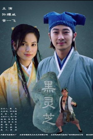 黑灵芝 (2006) poster