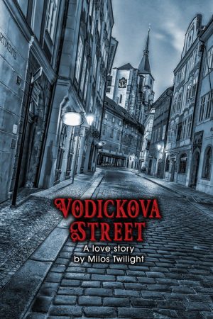 Vodickova Street (2007) poster