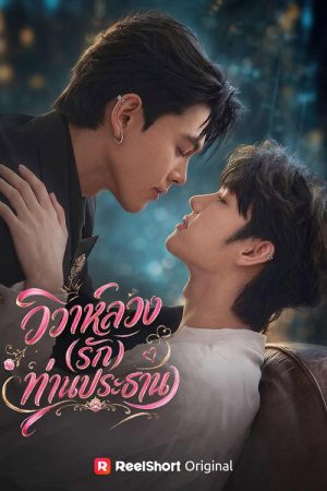 Fake Marriage, Love with the Chairman (2026) poster