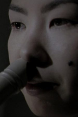 From Nose to Mouth (2006) poster
