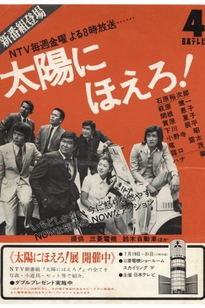 Bark at the Sun (1972) poster