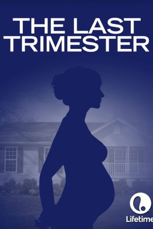 The Last Trimester (2007) poster
