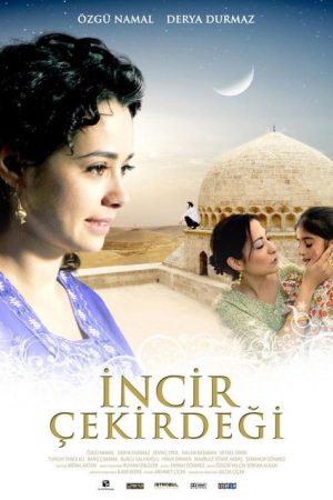 İncir Çekirdeği (2009) poster