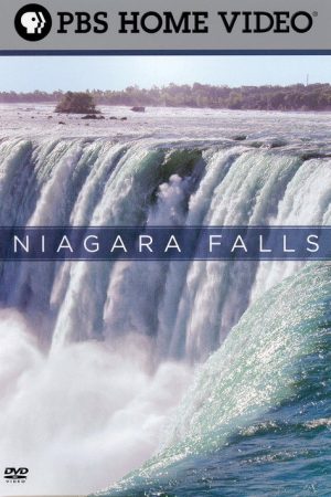 Niagara Falls (2006) poster