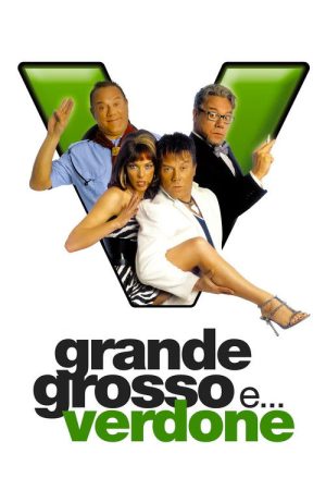 Grande, grosso e… Verdone (2008) poster