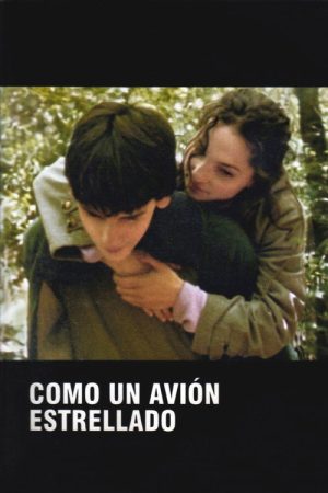 Como un avión estrellado (2005) poster
