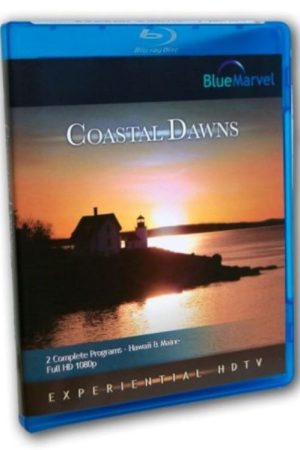 Coastal Dawns (2008) poster