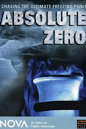 Absolute Zero (2008) poster