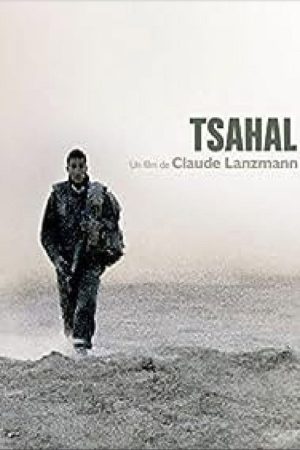Lights and Shadows (2008) poster