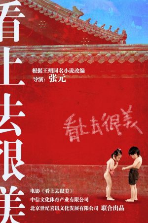 看上去很美 制作特辑 (2006) poster