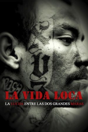 The Crazy Life (2008) poster