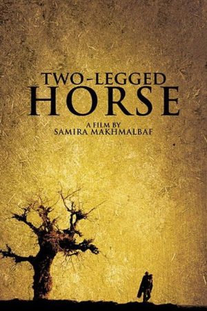 Two-Legged Horse (2009) poster