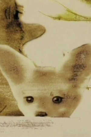 Intrusion (2005) poster