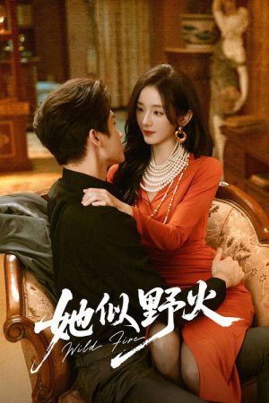 She’s Wild Fire (2026) poster