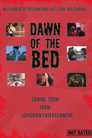 Dawn of the Bed (2008) poster
