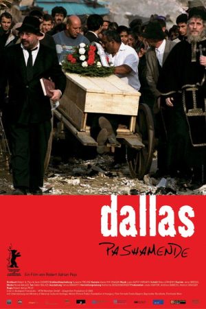 Dallas Pashamende (2005) poster
